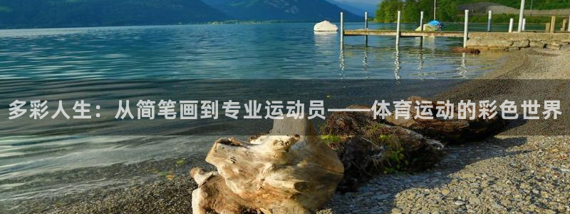 安信16体育3