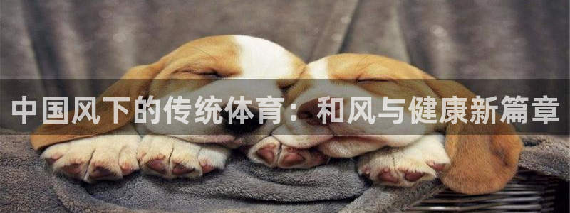 安信16体育凯捷平台主管