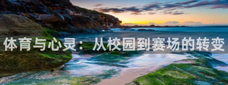 安信162登录