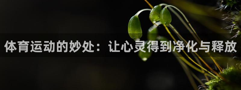 意昂平台登陆