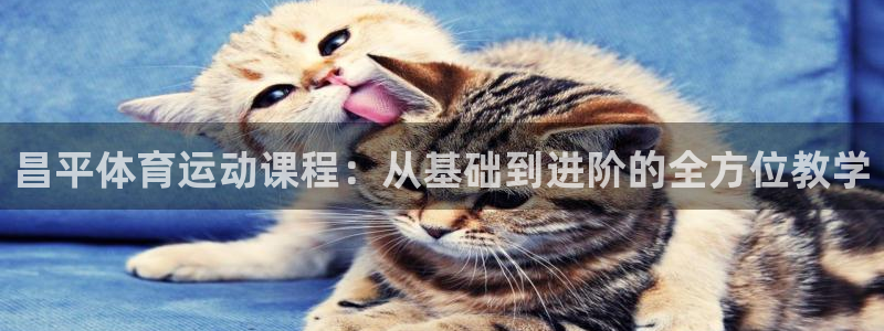 安信16体育热门赛事有哪些