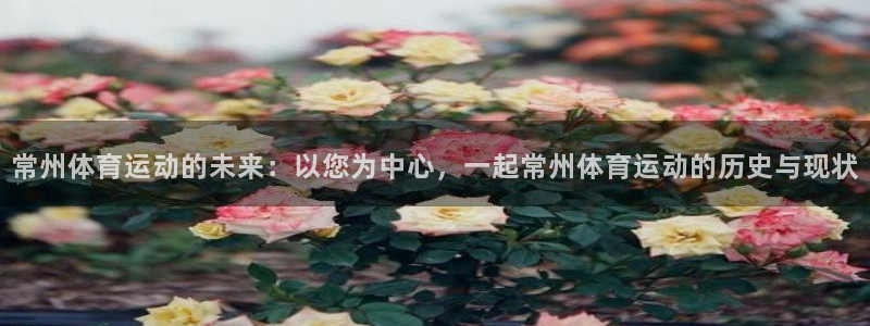德国意昂集团