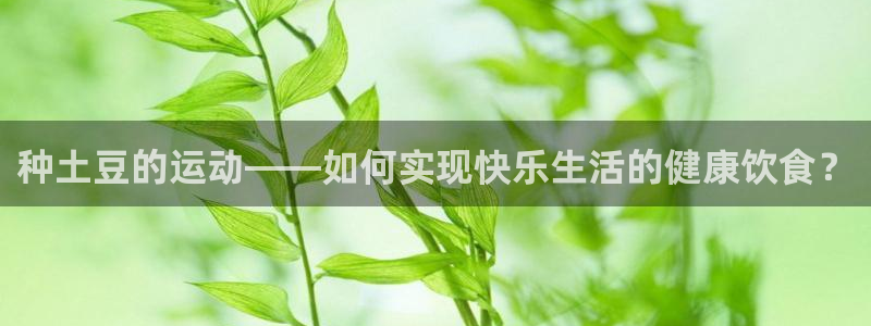 德国意昂集团