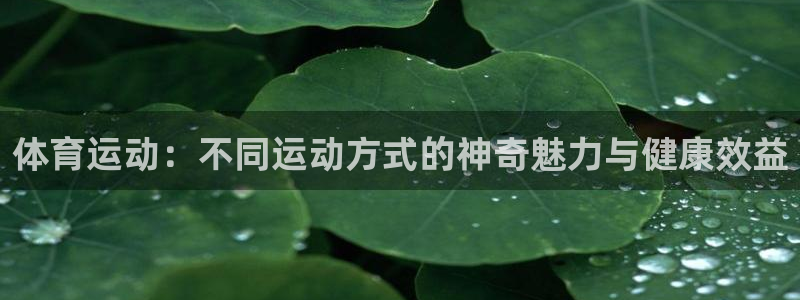 安信16能源