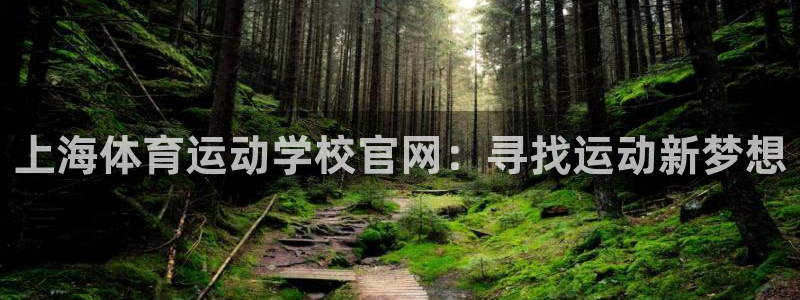 安信16集团官网