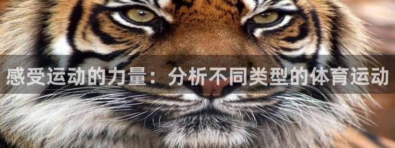 安信16平台