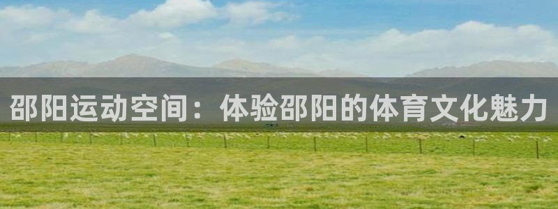 安信16体育和杏耀是哪个公司的