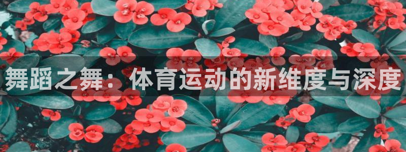 安信16体育和杏耀是哪个公司的