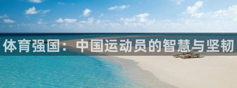 安信16体育2官网入口