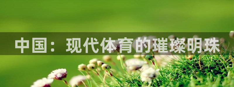 安信162平台