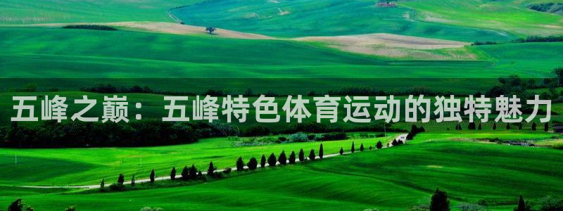 安信16官网